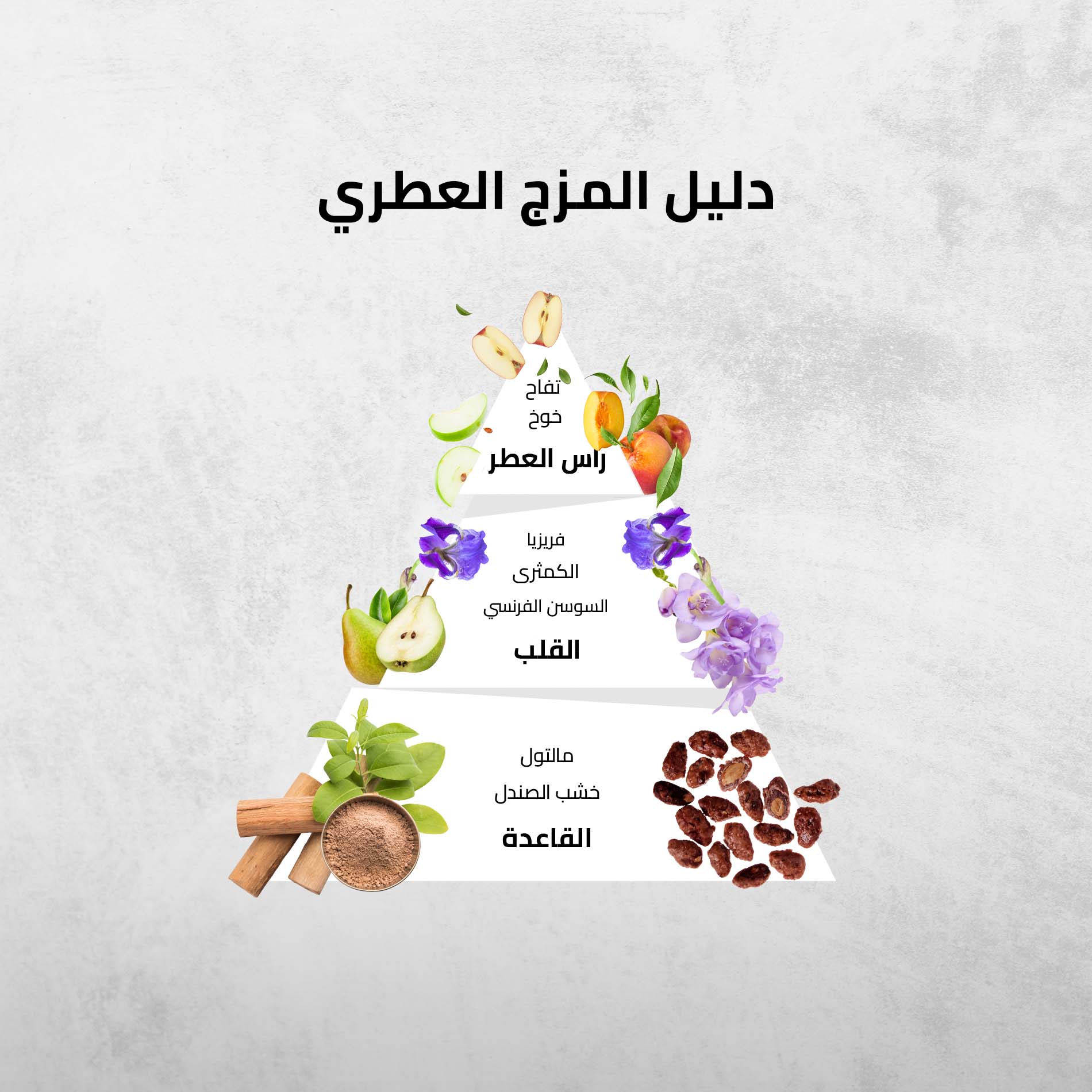 برج السرطان