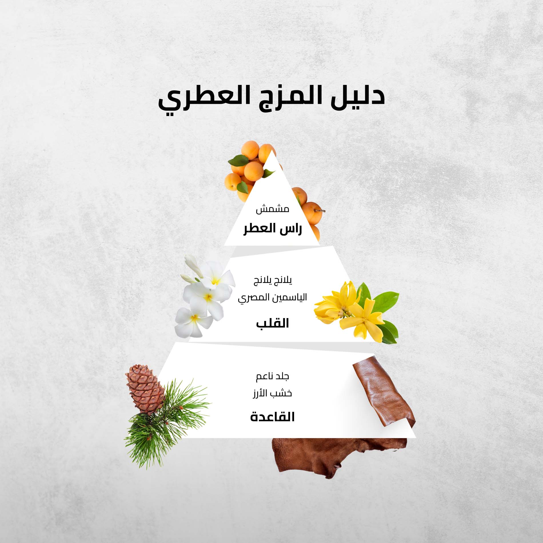 برج الثور