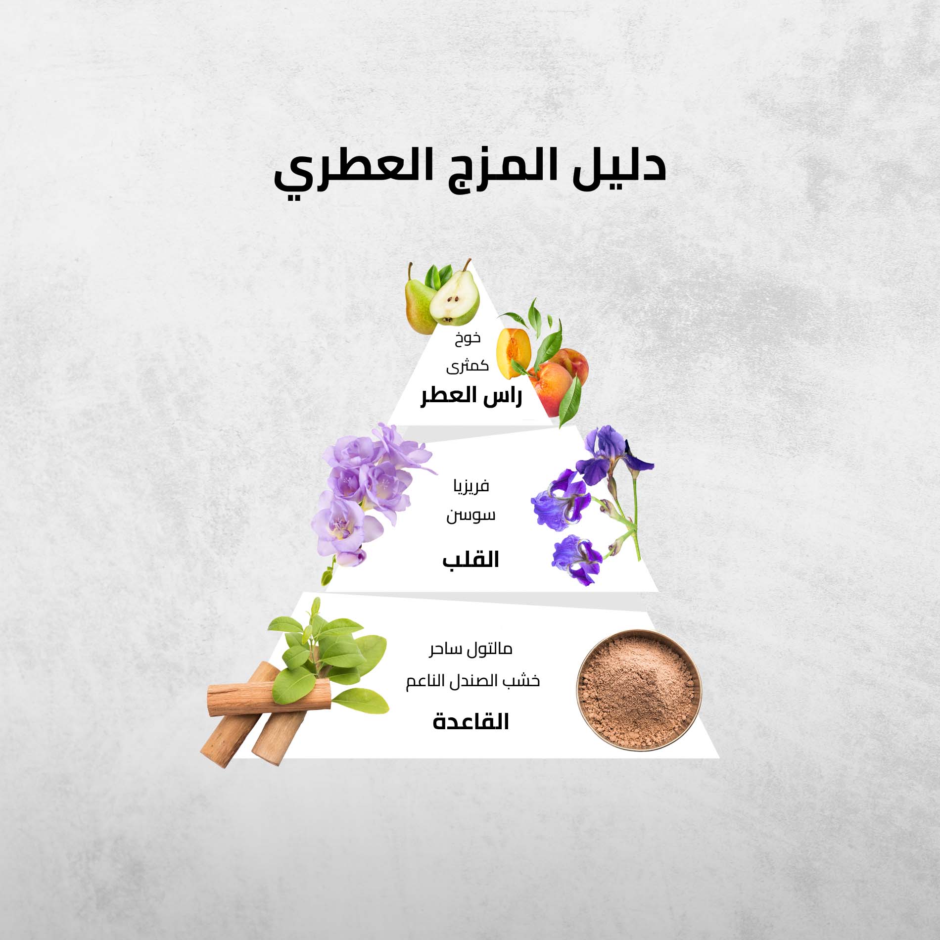 برج الجوزاء